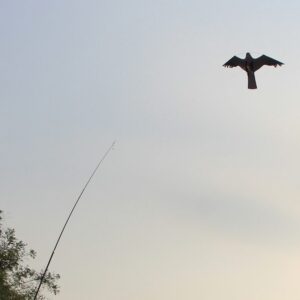 Bird Defense Hawk Kite - Image 3