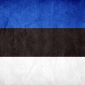 Estonian Flag 35x55cm with loops - Image 1