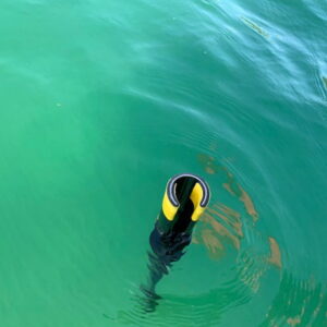 REVOLVE Rollable Boat Hook - Image 3