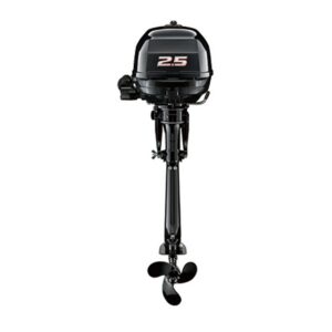 Suzuki 2,5 hp - Image 3